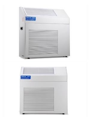 OEM 6 킬로그램 / Ｈ 벽 말 탄 제습기는 방 창고 산업적 천장 은밀한 도관 제습기를 성장시킵니다